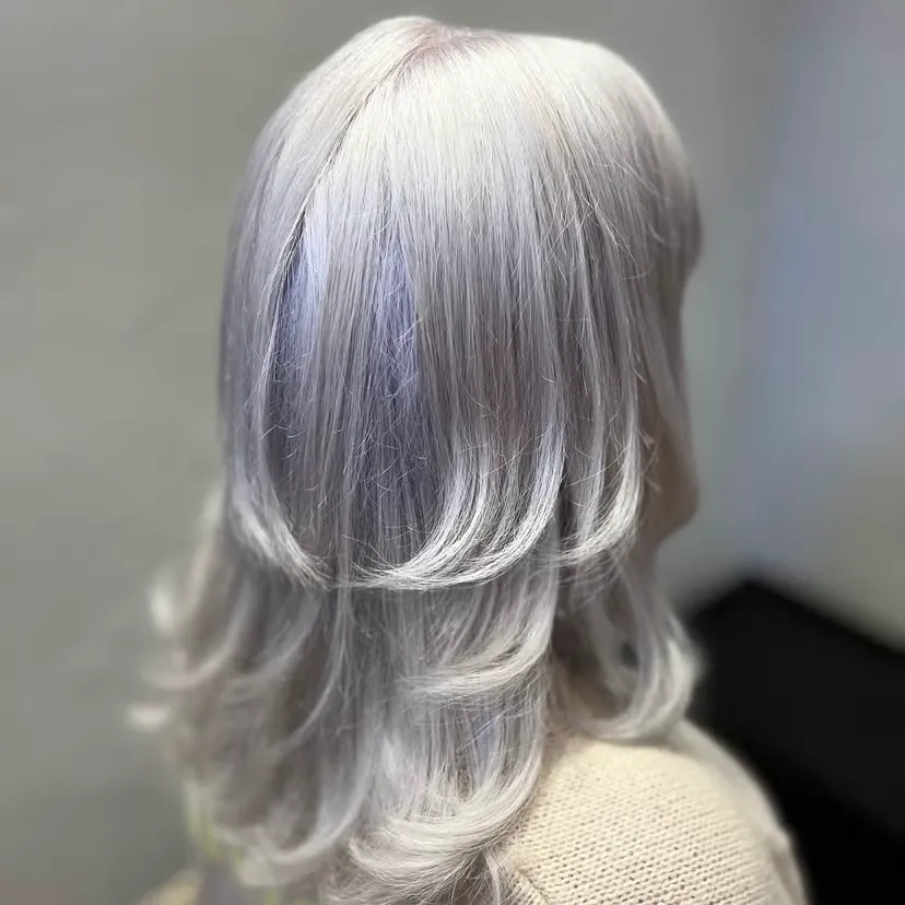 Silver grey full colour — Mai Beauty